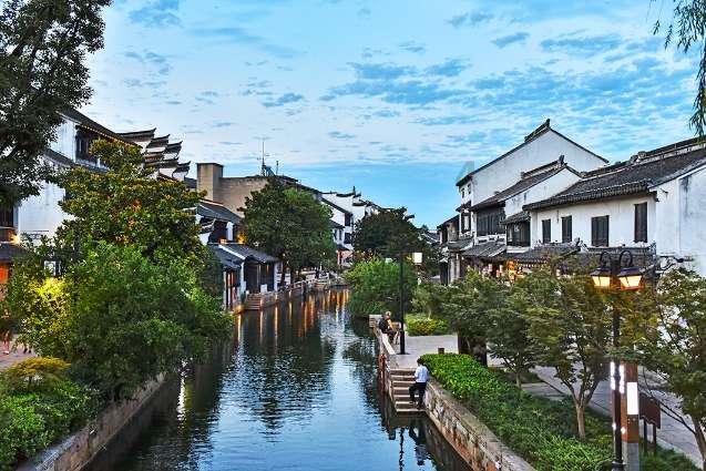 动物帮帮忙保卫家园